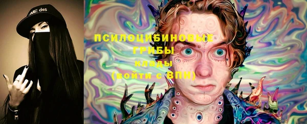 мяу мяу мука Михайловск