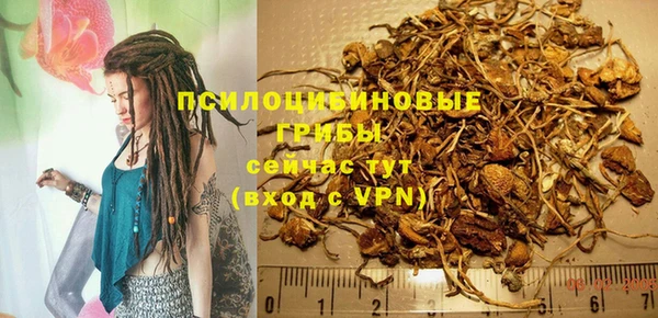 ECSTASY Михайлов