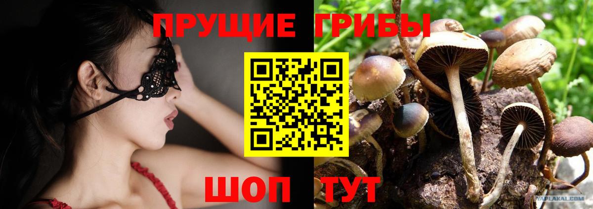 Псилоцибиновые грибы MAGIC MUSHROOMS Липецк